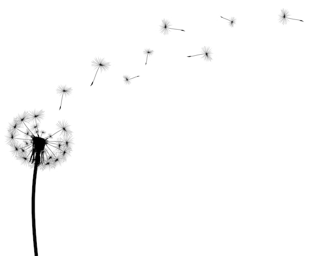 Vector black silhouette with flying dandelion buds