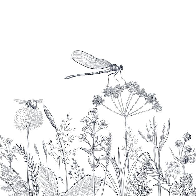 Vector black silhouettes of grass flowers and herbs isolated on white background hand drawn sketch flowers and insects