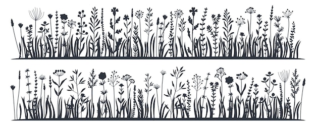 Vector black silhouettes grass with wild meadow herbs flowers