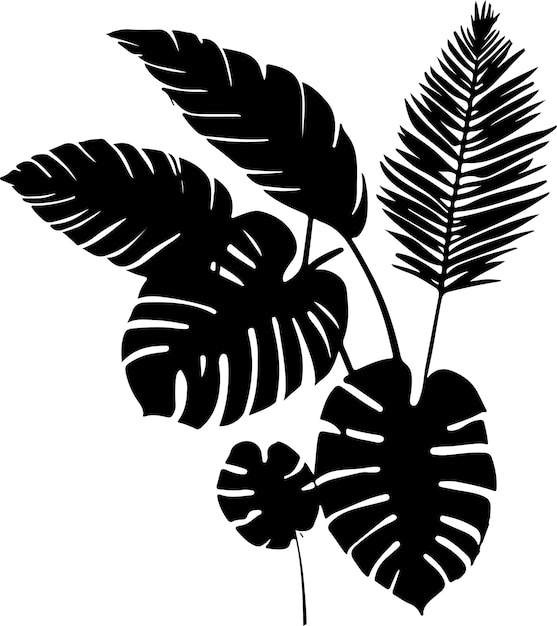 Black silhouettes of tropical palm leaves isolated on white background