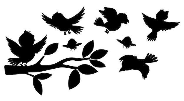 Black silhoutte of birds