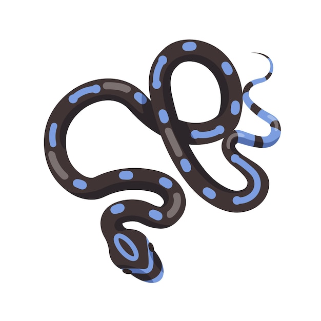 Serpente nero con macchie blu isolato su bianco