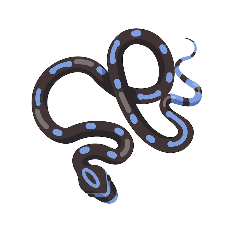 Vector black snake with blue patches isolated on white
