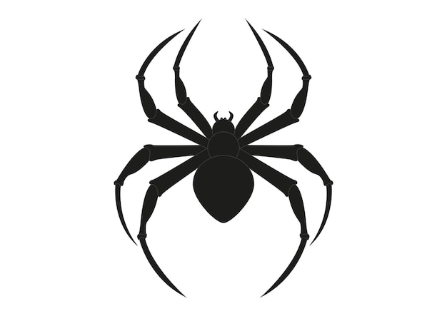 Black Spider Clipart Arachnia Illustratie van zwarte spin