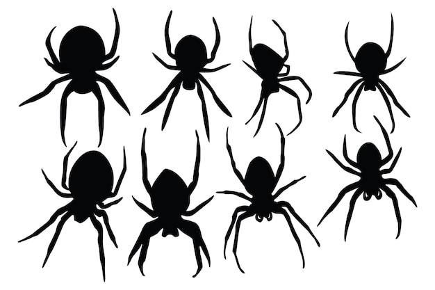 Векторный набор силуэтов черного паука