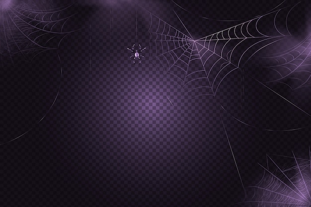 A black spider hangs on a web. scary spiderweb of halloween symbol. realistic  silhouette.