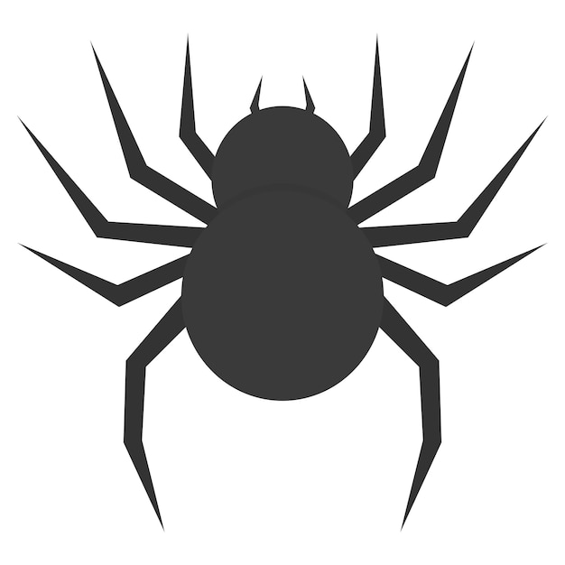black spider silhouette isolated on white background