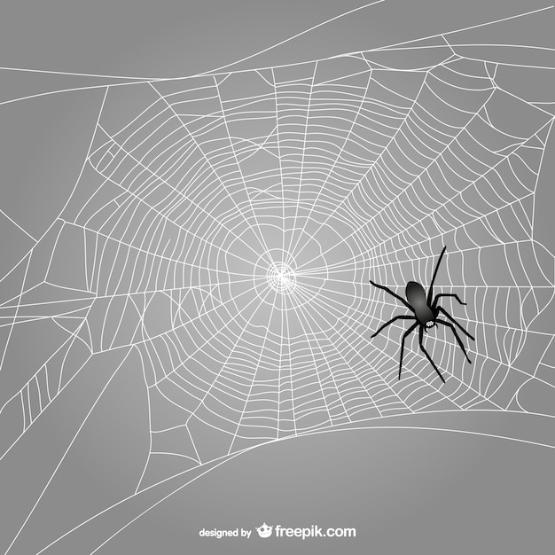 Black spider web vector