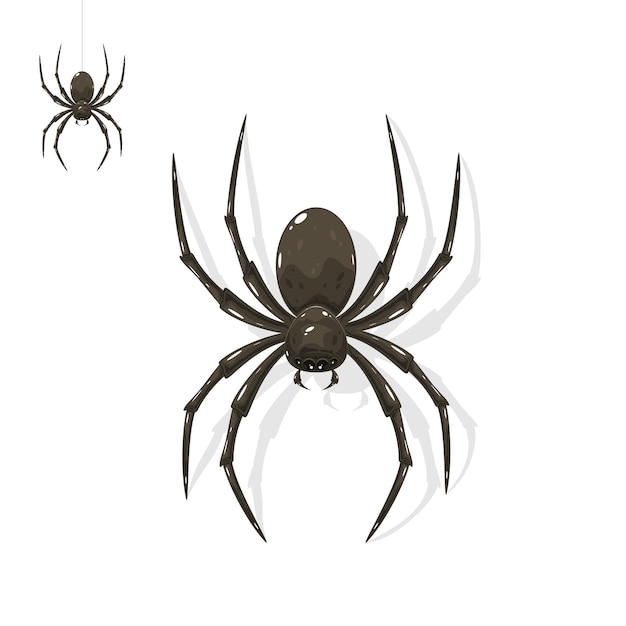 Vector black spider