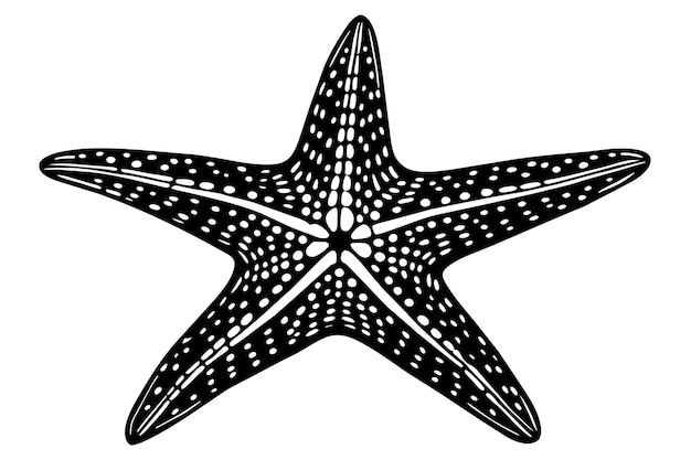 Black star fish vector isolated on white