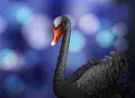 Vector black swan on blur blue background