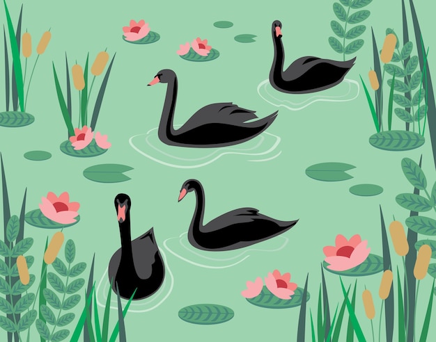 Black swans swimming in the water