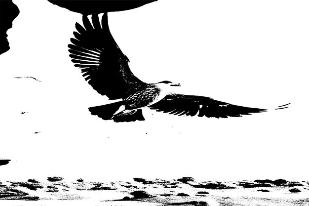 ベクトル 白い紙の鳥の黒い質感 ベクトルイラスト 背景の質感