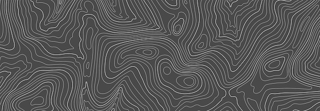 Vector black topographic line contour map