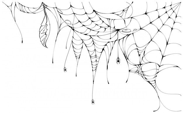 흰색 배경 할로윈 기호에 검은 찢어진 된 거미줄