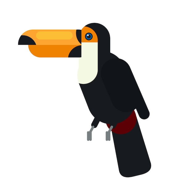 black toucan laying on the tree branch outdoor nature animal