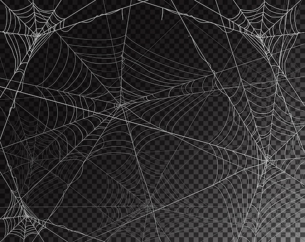 Vector black transparent background for halloween with spiderwebs