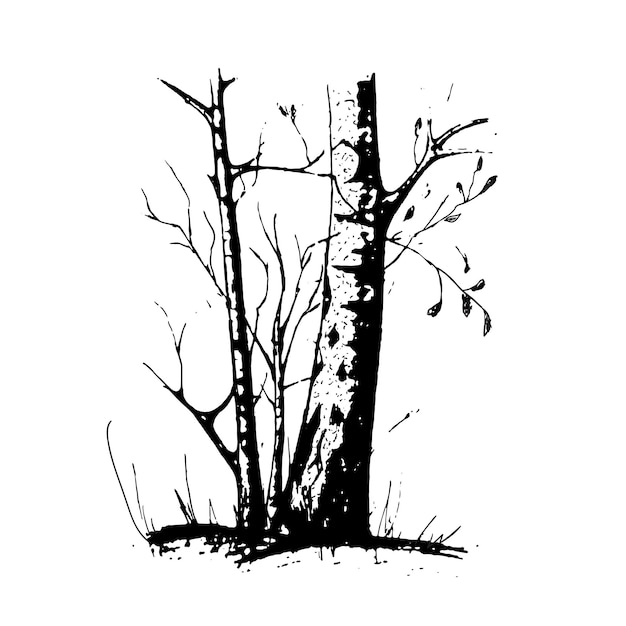 白い背景で隔離の黒い木のシルエット