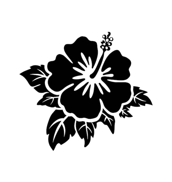 Vector black tropical exotic hibiscus flower silhouette drawing