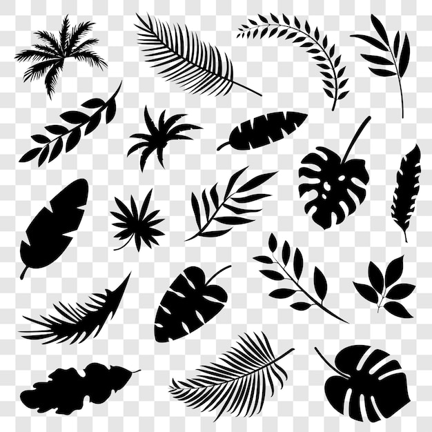 Black tropical leaves isolated on transparent background Exotic leaves and branches Vector element