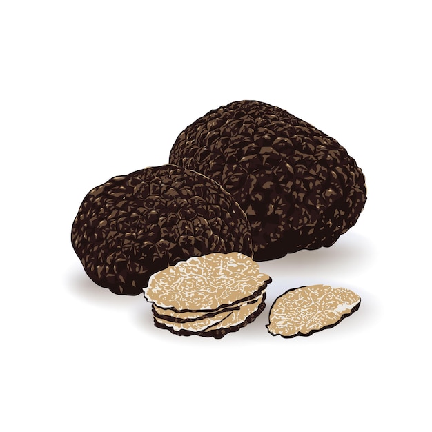 Black truffles isolated on a white background.