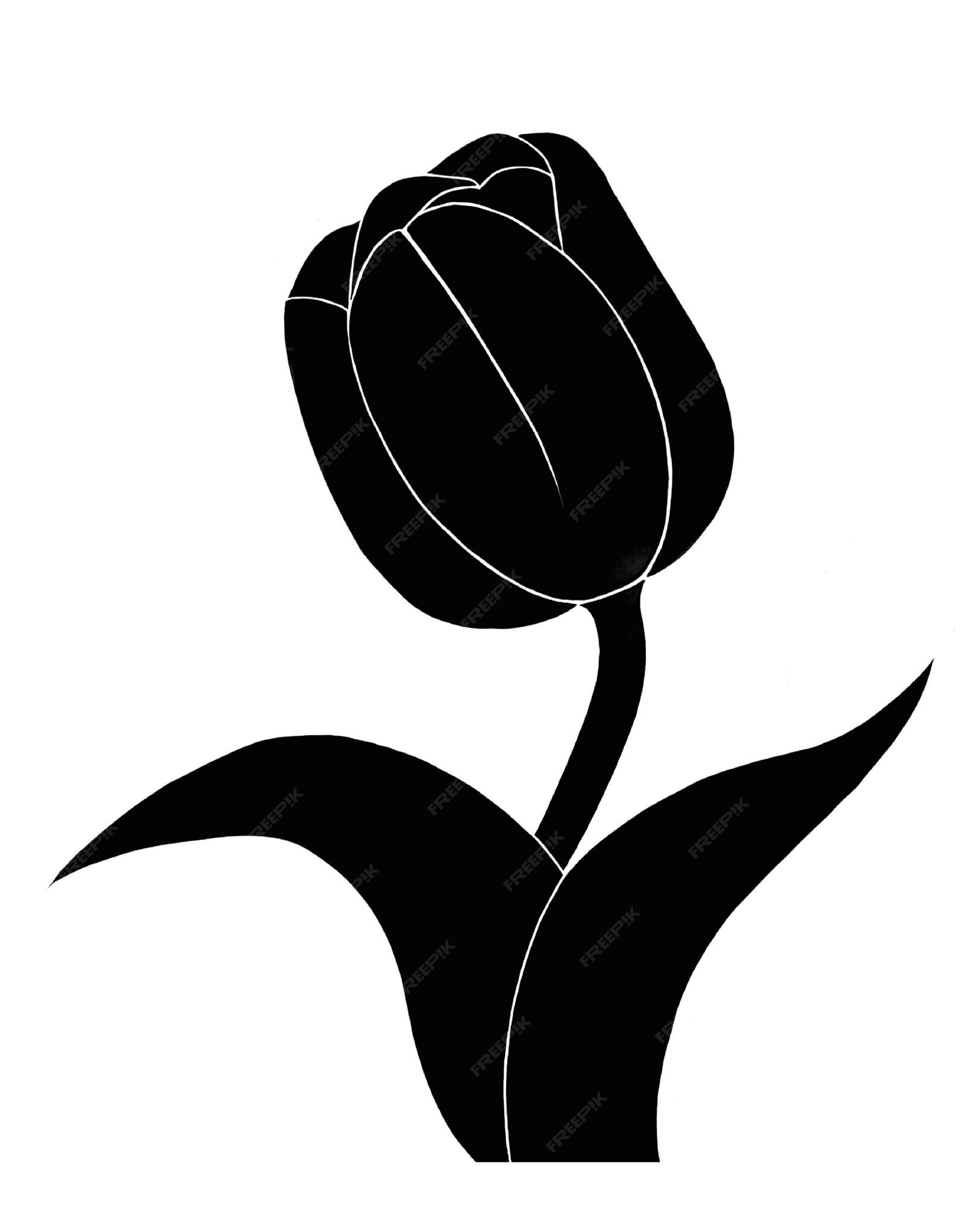 Premium Vector | Black tulip with leaves on a white background
