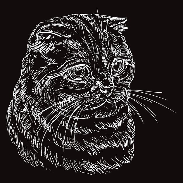 Black vector cat portrait 9