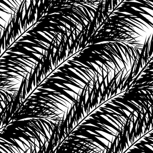 Black vector palm trees Hand drawn seamless pattern Summer tropical palm tree leaves seamless pattern Abstract nature background