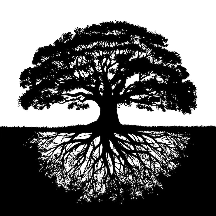 Vector a black vector tree silhouette with roots on white background