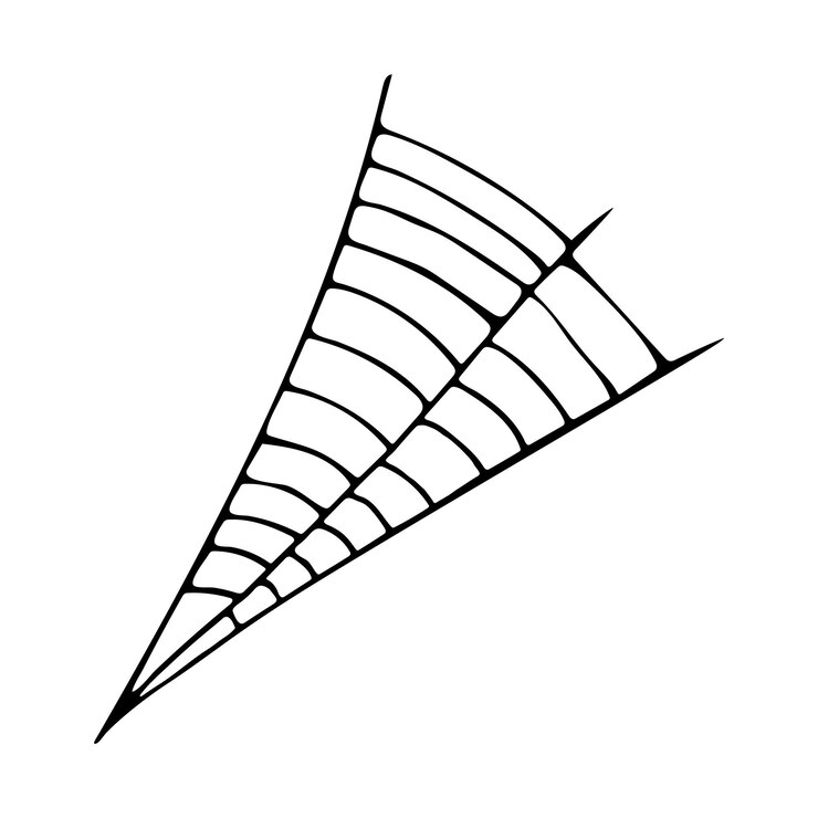 Vector black web on white background vector illustration