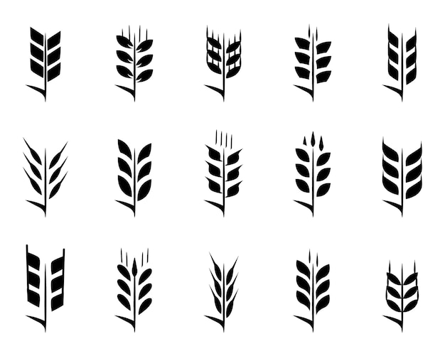 Vector black wheat ears icon collection ears of wheat bread silhouettes
