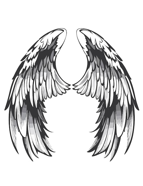 Vector black and white angel wings on a white background