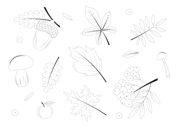 Black and white autumn set Coloring page for kids