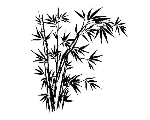 A black and white bamboo branch with leaves.