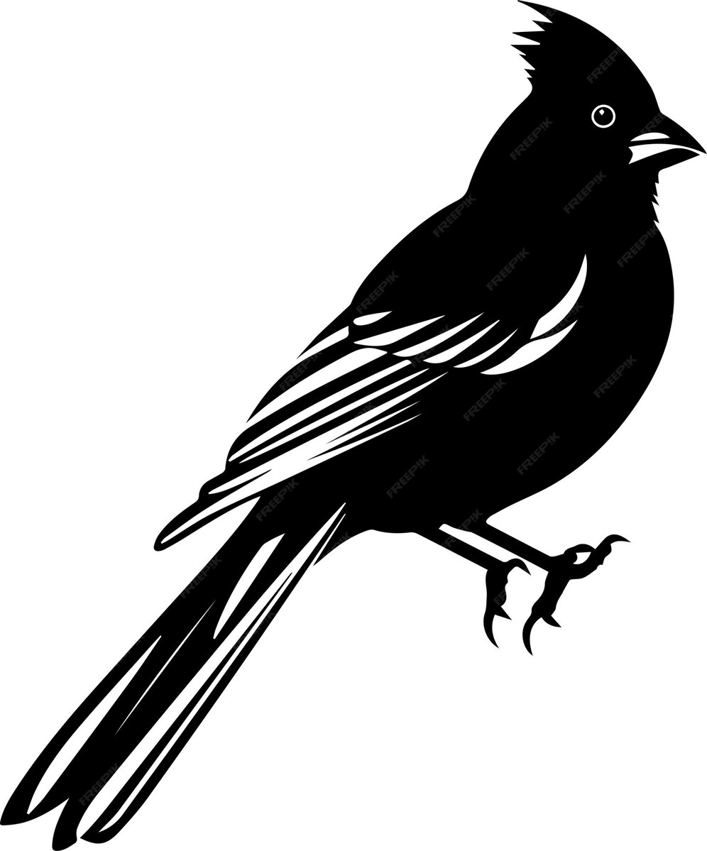 Premium Vector | A black and white of a bird vector