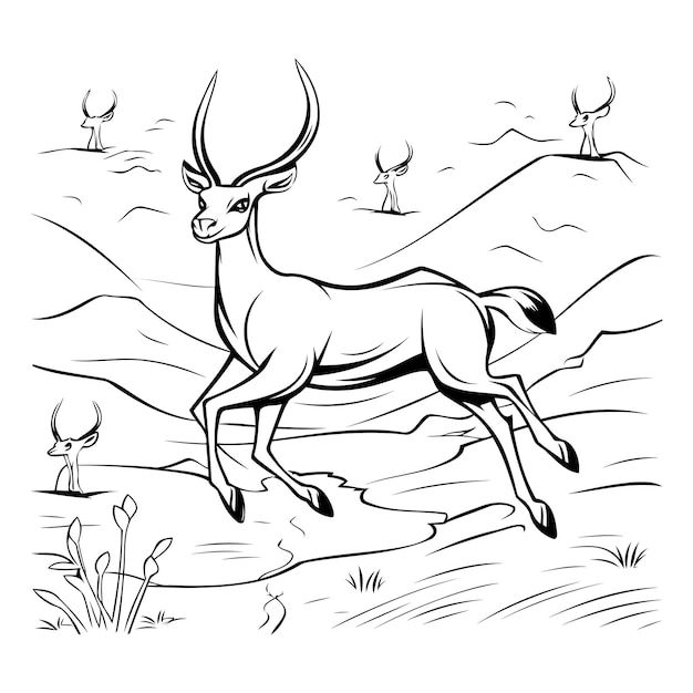 Vector black and white cartoon illustration of impala or antelope animal for coloring book