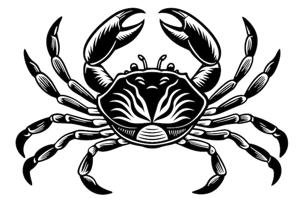 black and white crab vector