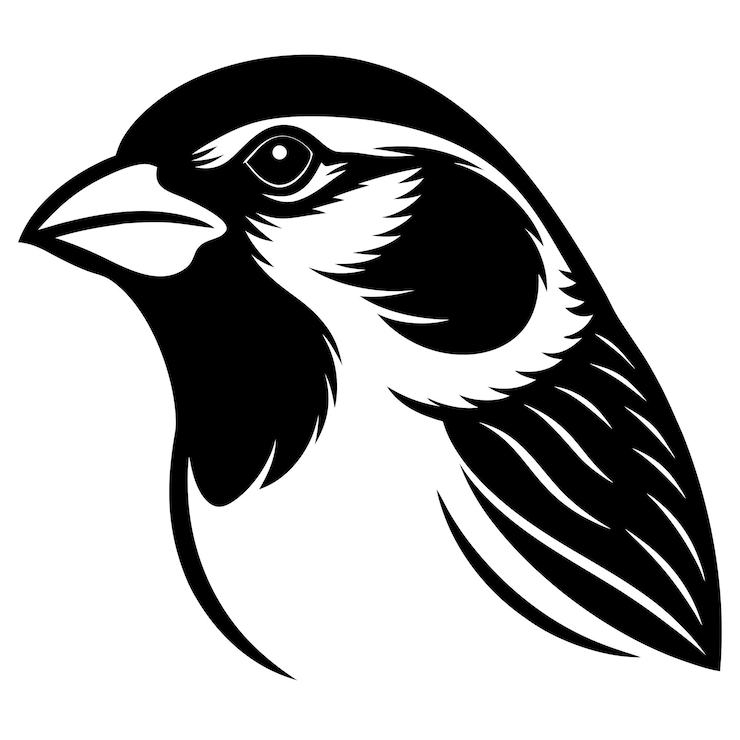 Vector a black and white drawing of a bird with a white background
