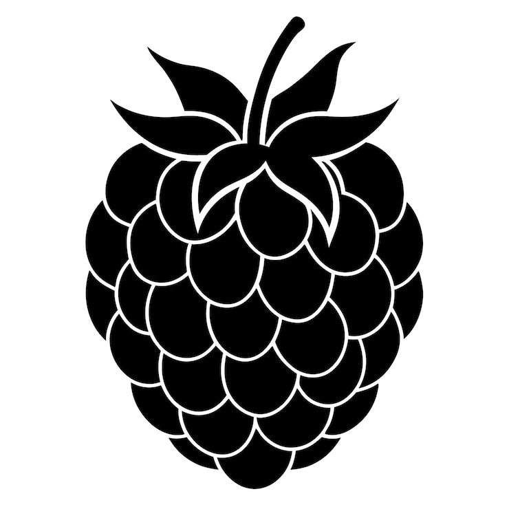 Vector a black and white drawing of a blackberry