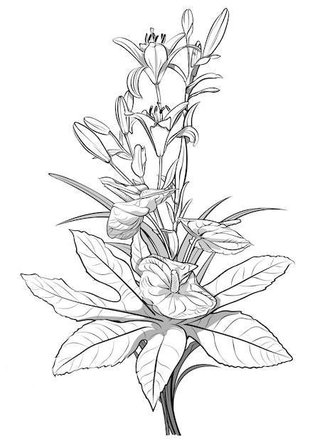 Black and White Drawing of Bouquet Flowers