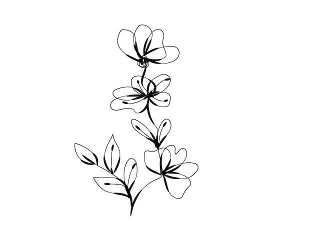 Vector black and white drawing of a bouquet of flowers