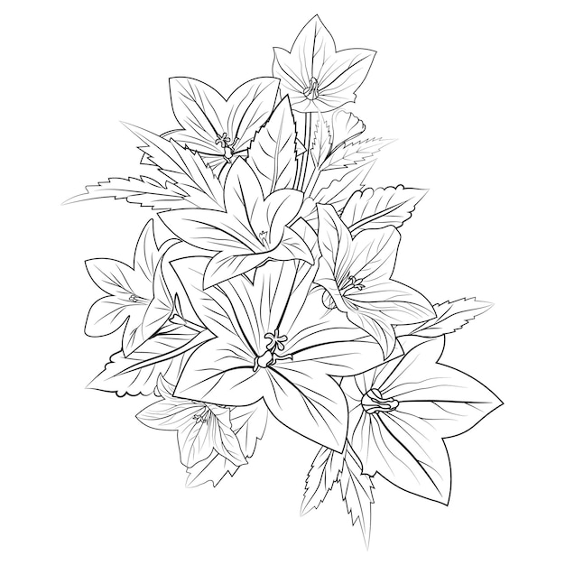 꽃의 꽃다발의 흑백 그림.
