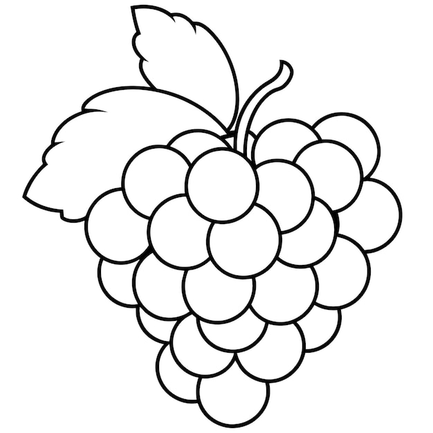 Vector a black and white drawing of a bunch of grapes with a white background