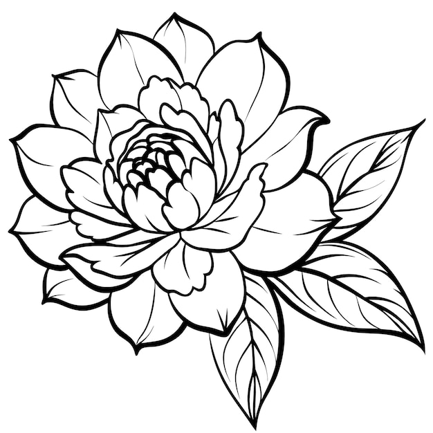 a black and white drawing of a flower with leaves on it