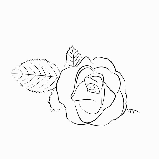 A black and white drawing of a flower with leaves