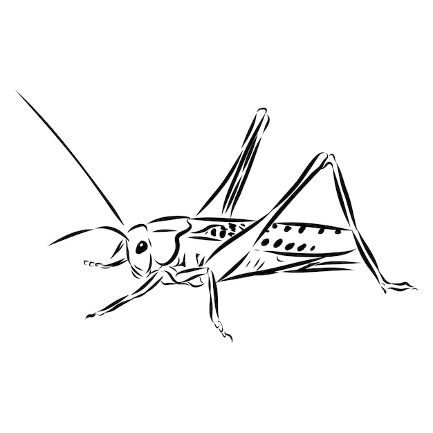 の黒と白の絵