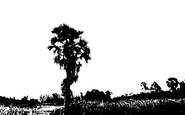 a black and white drawing of a palm tree
