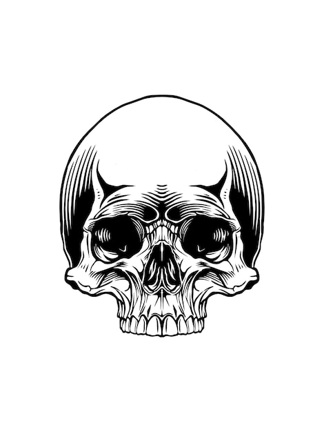 Vector a black and white drawing of a skull with a black face and a white skull