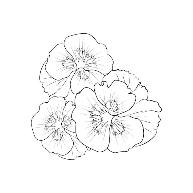A black and white drawing of three flowers.