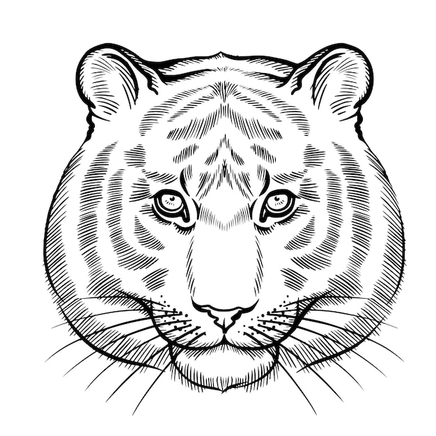 Vettore un disegno in bianco e nero della faccia di una tigre.